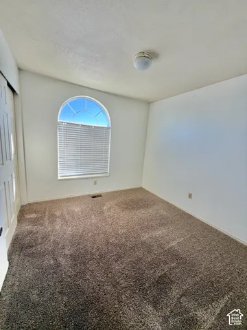 Arched window with integrated blinds, neutral carpeting, and ceiling-mounted light fixture