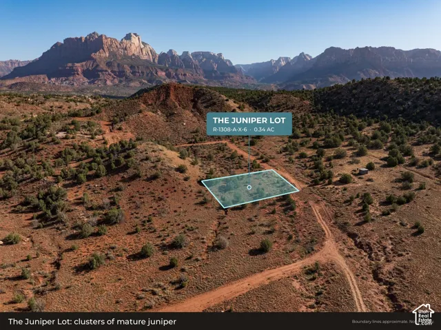 Aerial: Mature juniper across the lot