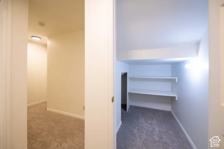 Storage area featuring carpeted flooring and white built-in shelving