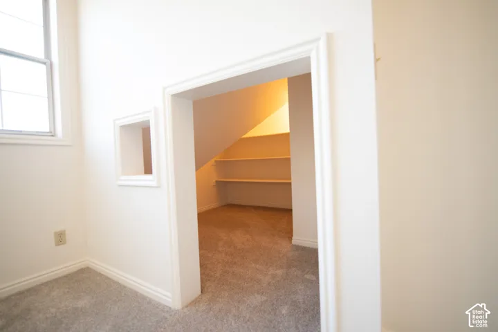 Recessed storage space featuring carpeted flooring, built-in shelving, and a secondary integrated wall cutout