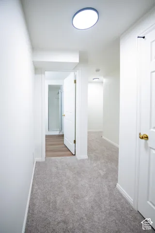 Neutral carpeting, flush-mount ceiling lighting, multi-panel interior doors with brass-finish hardware, and wood-finish flooring
