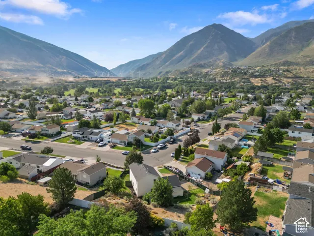 Aerial perspective of suburban residential neighborhood featuring mountain backdrop and mature trees