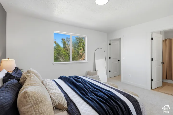 Neutral-toned room featuring a single-pane sliding window, wall-to-wall carpeting, two interior doors with black hardware, and an overhead flush-mount light fixture