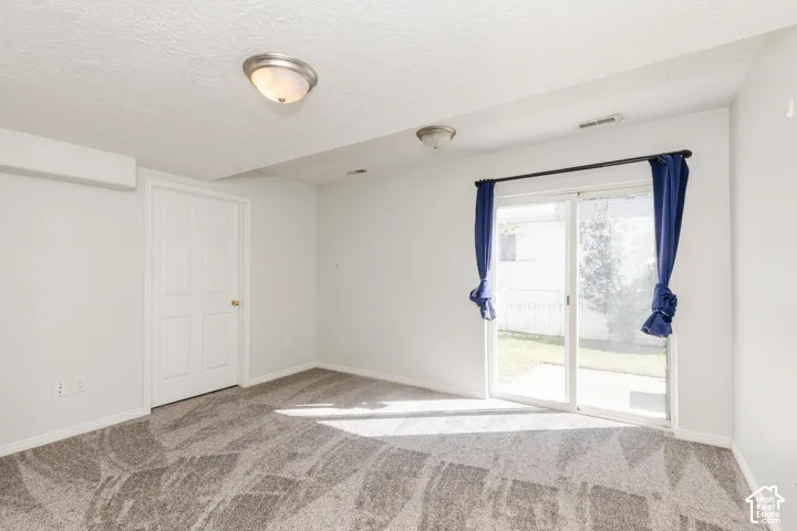 Neutral-toned carpeting, sliding glass door, flush-mount ceiling lighting, and a six-panel interior door
