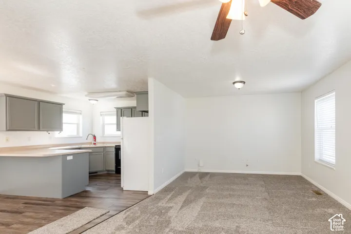 Kitchen featuring grey cabinetry, peninsula counter, wood-finish flooring, neutral carpet, and a ceiling fan with integrated lighting