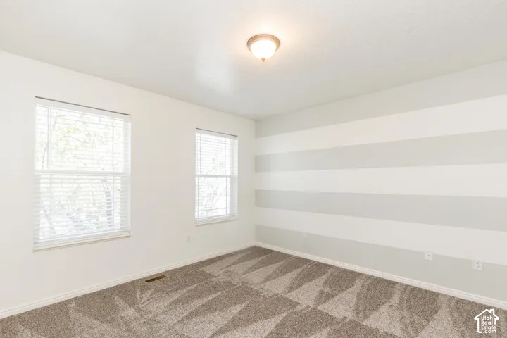 Neutral-toned carpet, dual windows with horizontal blinds, flush-mount ceiling lighting, and horizontal wall detailing
