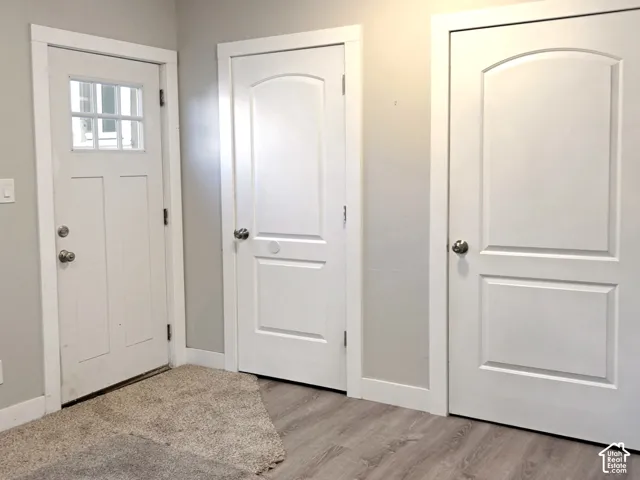Exterior door with glass-paned insert, two arched-top interior doors, and wood-finish flooring