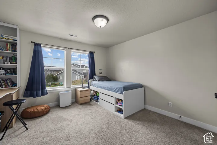 Room featuring neutral wall tones, carpeted flooring, a built-in white bookshelf, and dual windows with grid detailing and flush-mount lighting