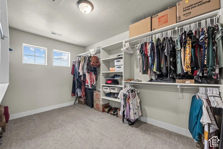Walk-in closet featuring wall-to-wall carpeting, dual windows, and built-in white shelving with integrated hanging rods