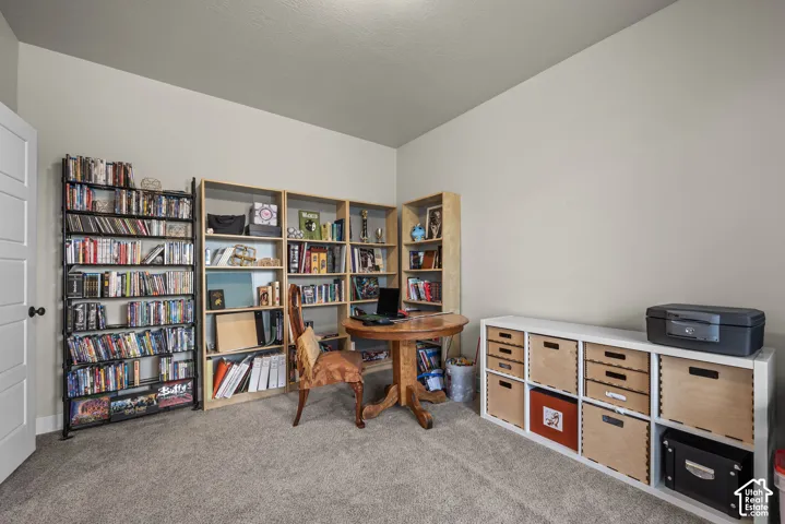 Neutral-toned room featuring neutral carpeting, a multi-panel door with a round knob, and a ceiling-height wall partition