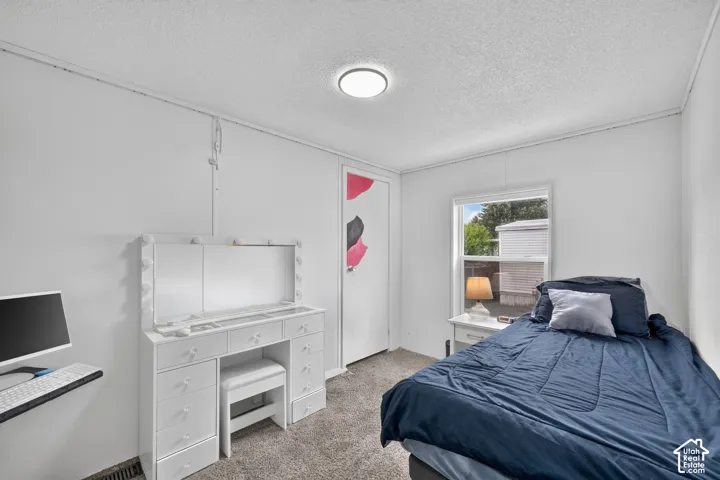 Room featuring neutral wall finishes, carpeted flooring, a single-pane window, and a flush-mount overhead light fixture