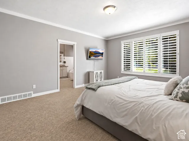 Neutral-toned interior space featuring window shutters, flush-mount lighting, and wall-to-wall carpeting