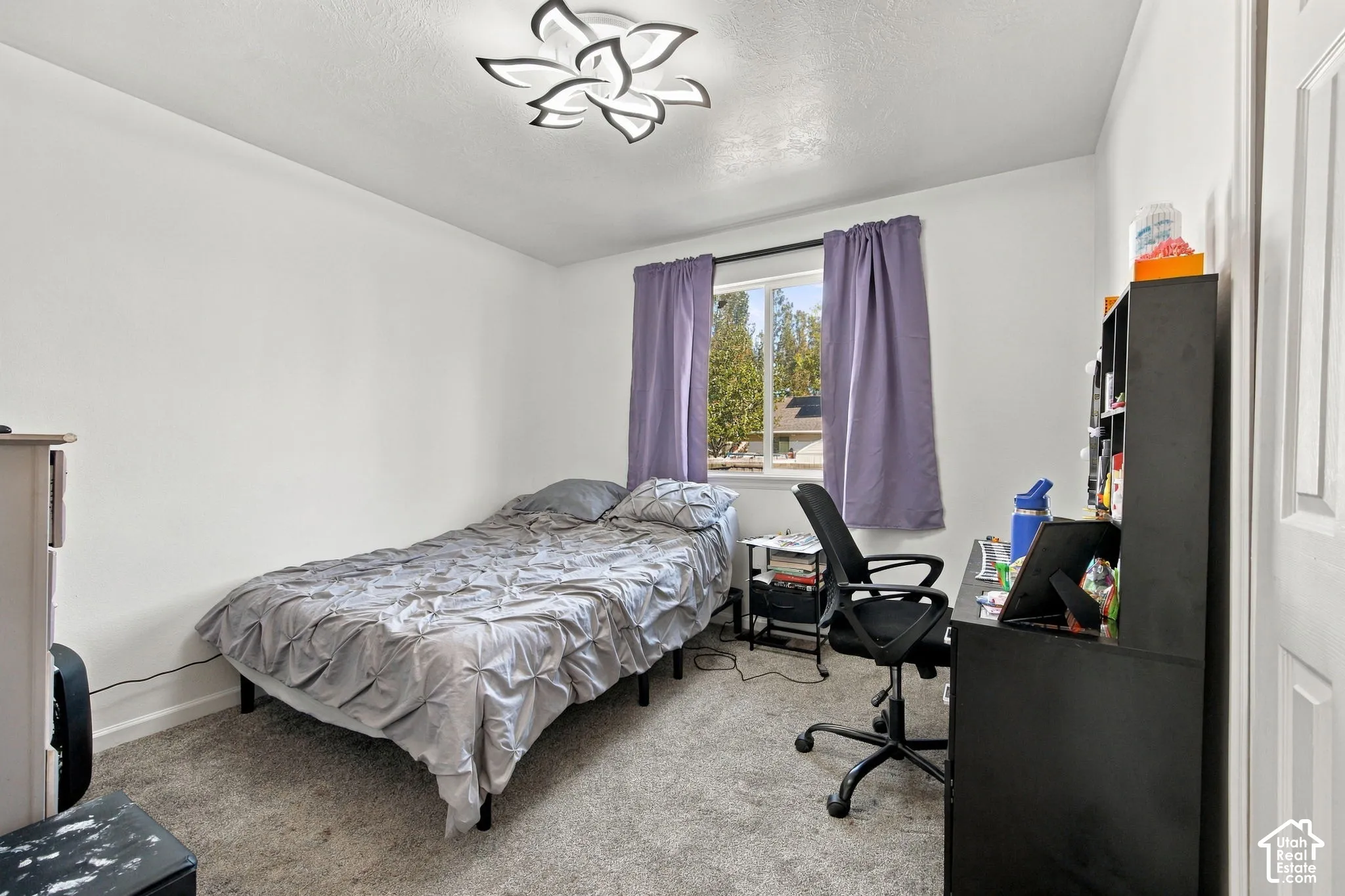 Neutral-toned wall-to-wall carpeting, single-pane window with exterior natural scenery, and architectural floral-patterned flush-mount ceiling fixture