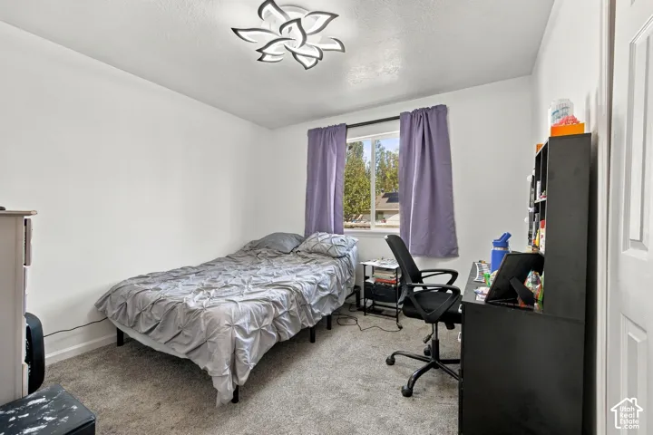 Neutral-toned wall-to-wall carpeting, single-pane window with exterior natural scenery, and architectural floral-patterned flush-mount ceiling fixture