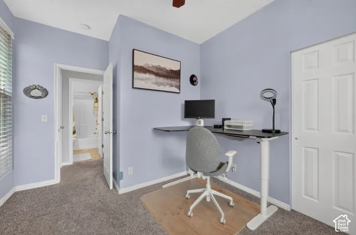 Room featuring neutral wall tones, window blinds, carpeting, and a four-panel interior door