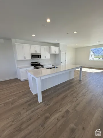 Kitchen featuring white cabinetry, an expansive central island with a quartz countertop, stainless steel appliances, wood-finish flooring, and recessed lighting