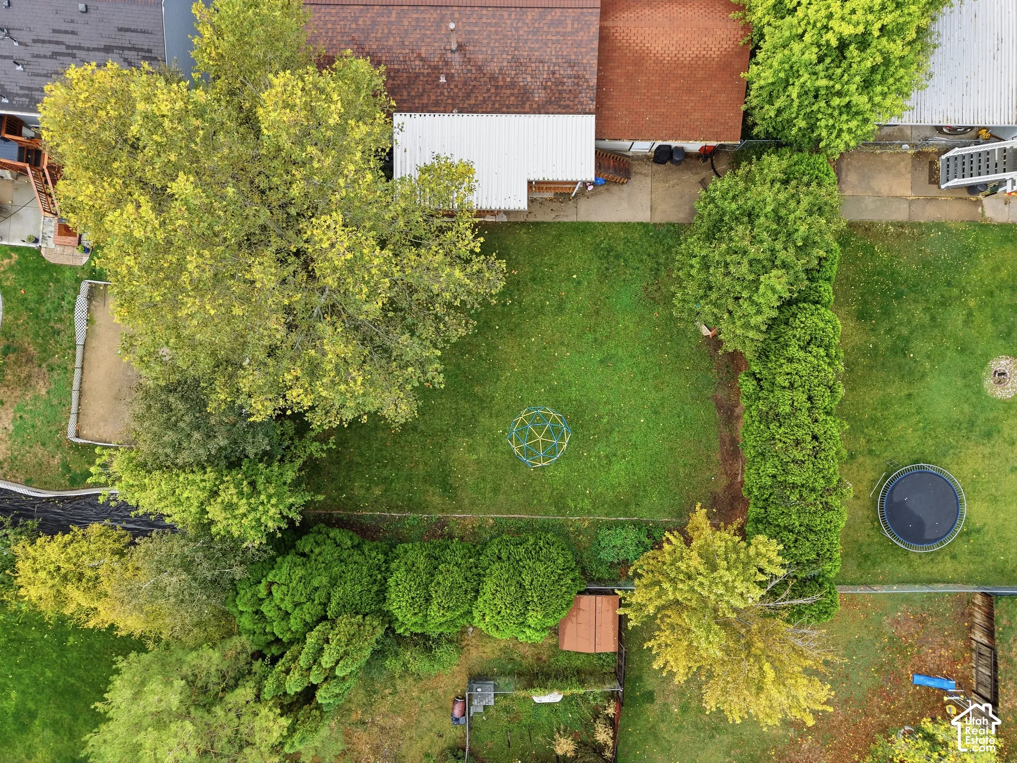 Expansive backyard featuring a large grass lawn, mature trees, and privacy-providing hedge rows