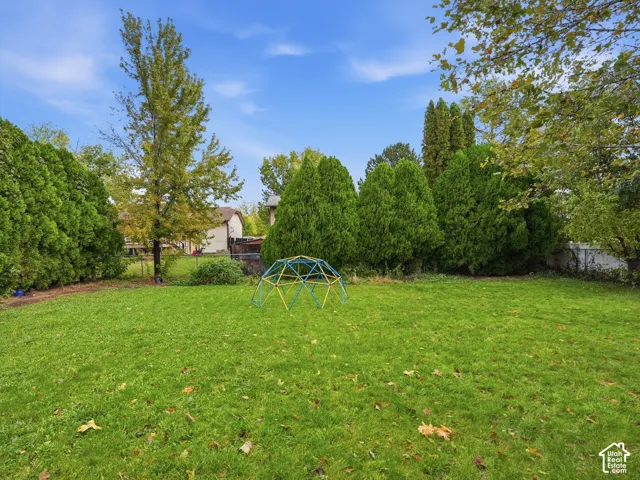 Expansive backyard featuring a large grass lawn, mature trees, and dense perimeter landscaping