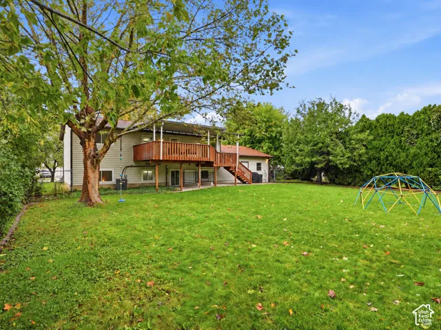 Expansive backyard featuring a mature tree, a wood deck with stairs, and perimeter hedging