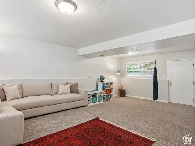 Neutral-toned interior space featuring wall-to-wall carpeting, a multi-pane window with natural light, flush-mount ceiling lighting, and a solid-core door