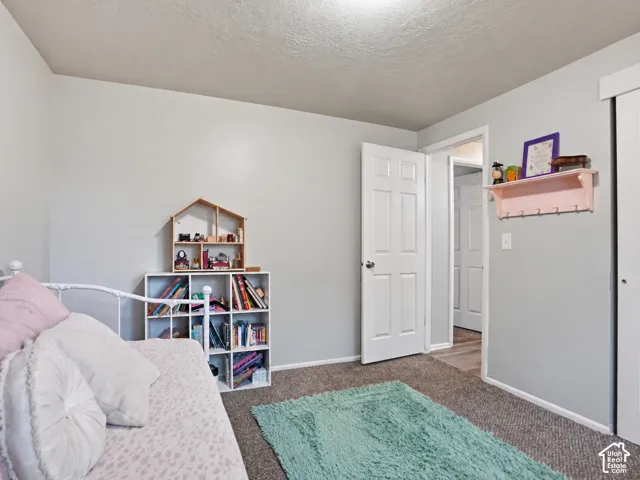 Neutral-toned walls, textured wall-to-wall carpeting, and a six-panel interior door