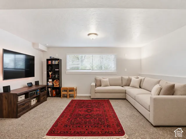 Spacious interior room featuring neutral wall tones, carpeted flooring, and a flush-mount ceiling light fixture