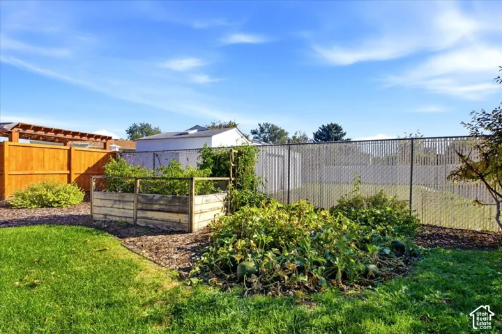 Backyard, mulitiple Raised garden beds,