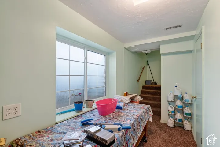 Multipurpose room featuring a grid-pattern window, built-in surface ledge, and carpeting