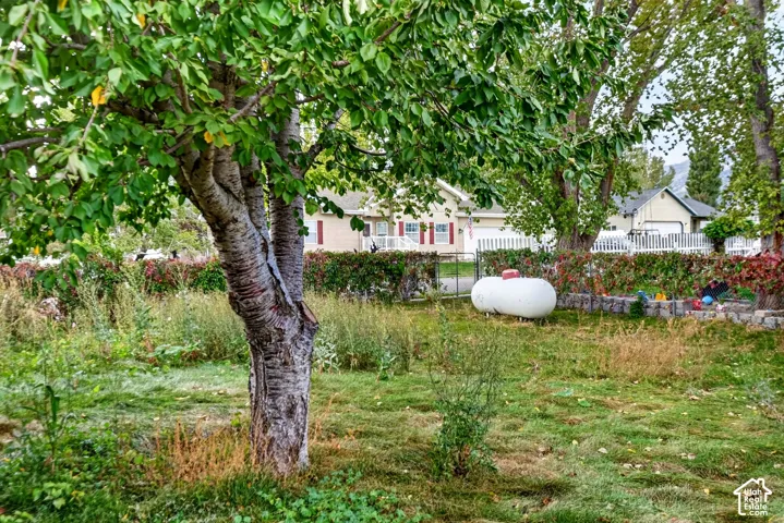 Expansive grounds featuring mature deciduous trees, natural vegetation, a stone retaining wall, and metal perimeter fencing