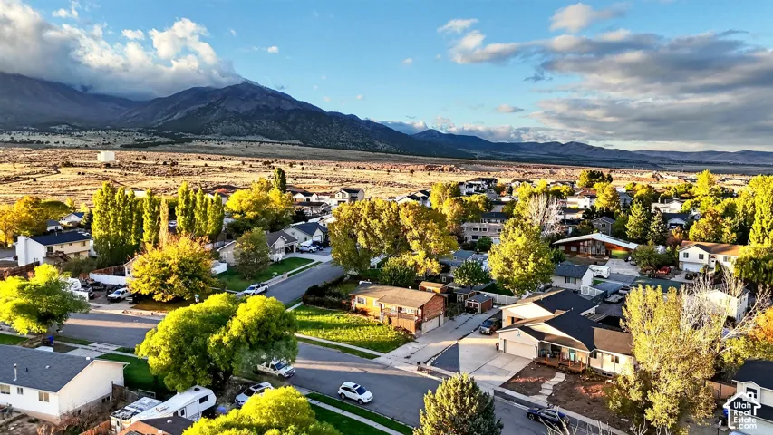Aerial perspective featuring residential lots with mature tree growth and prominent mountain range backdrop