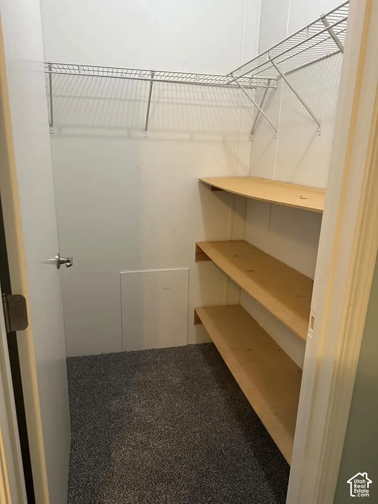 Storage area featuring wire shelving, three levels of wooden shelving, and carpeting