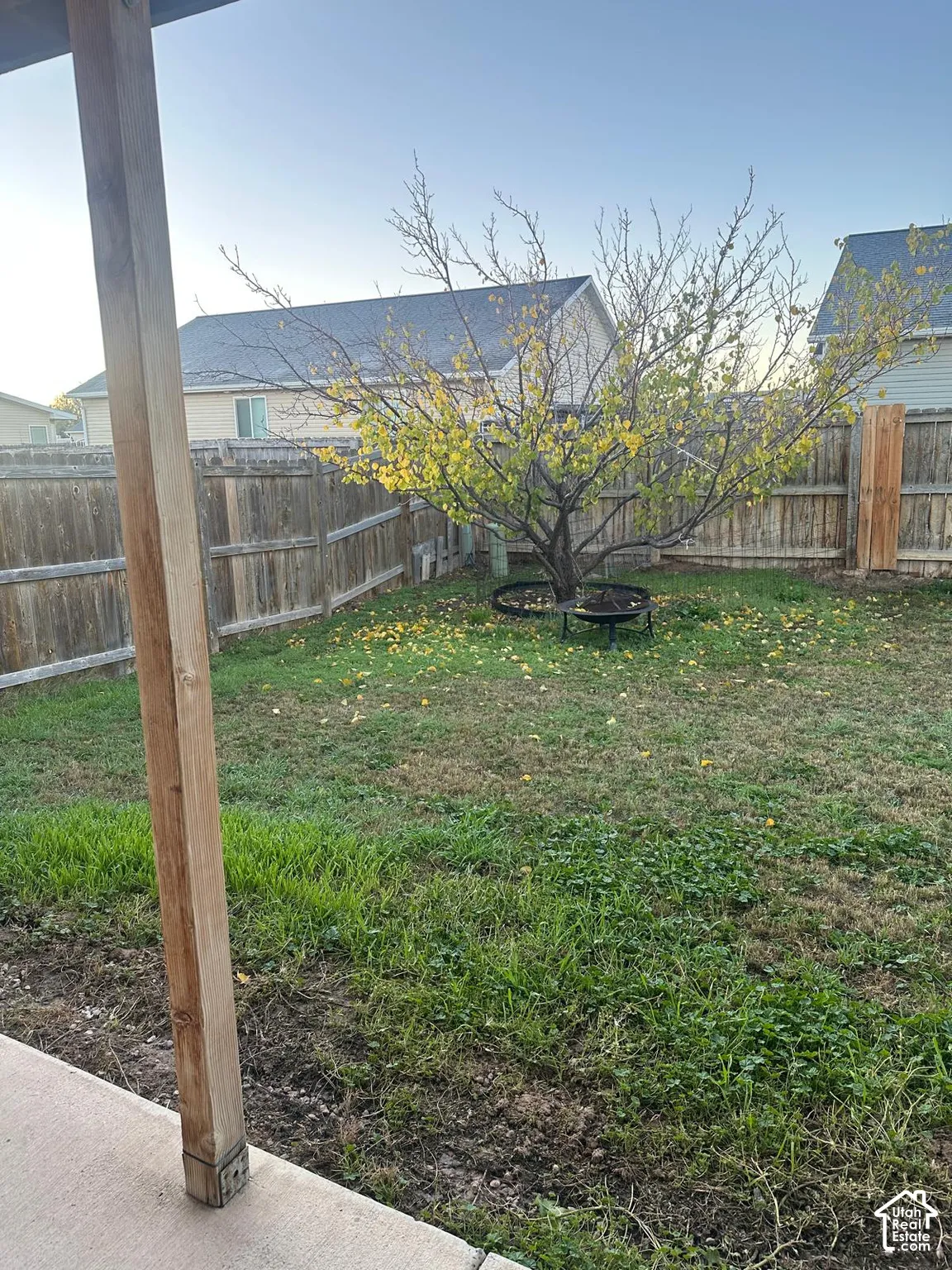 Backyard featuring a concrete patio, wood fencing, and a mature tree