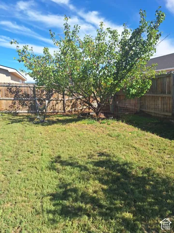 Expansive backyard featuring a mature deciduous tree and wood privacy fencing