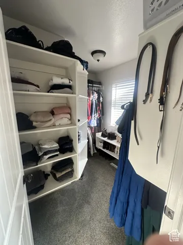 Walk-in storage space featuring built-in white shelving, integrated hanging rods, carpeted flooring, and a window with horizontal blinds