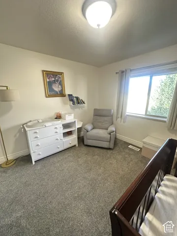 Room featuring neutral wall tones, gray carpeting, a single wall-mounted shelving unit, and a window with horizontal sliding glass