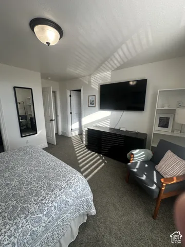 Neutral-toned wall-to-wall carpeting, flush-mount dome lighting, and multiple interior paneled doors