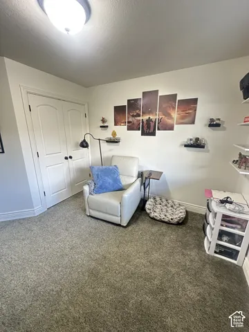 Double-door closet, neutral carpeting, dome-style ceiling light fixture, and built-in wall shelving