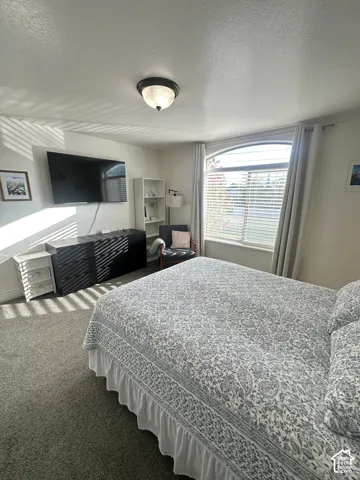 Arched window with integrated blinds, neutral carpeting, and a flush-mount overhead light fixture