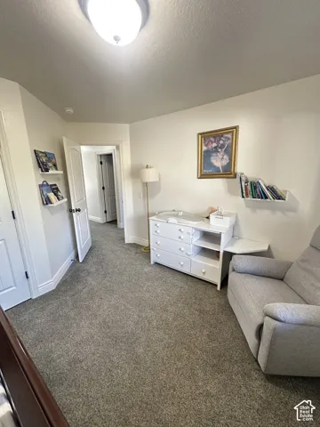 Neutral-toned carpeted flooring, two wall-mounted floating shelves, and paneled interior doors with hardware