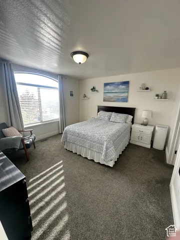 Bedroom featuring carpeting, neutral wall paint, arched window, and wall-mounted shelving