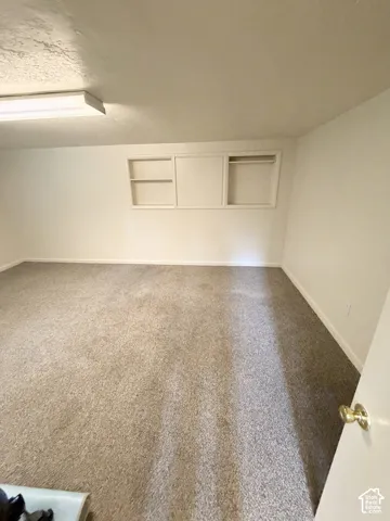 Room featuring neutral-toned carpeting, flush-mount lighting, and built-in wall shelving