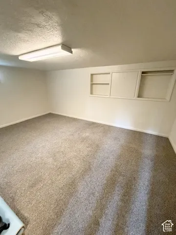 Interior space featuring neutral-toned carpeting, rectangular flush-mount ceiling lighting, and built-in wall shelving