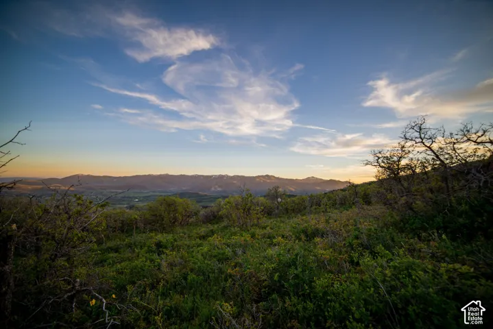Expansive acreage featuring native brush, mature scrub oak, and a mountainous horizon