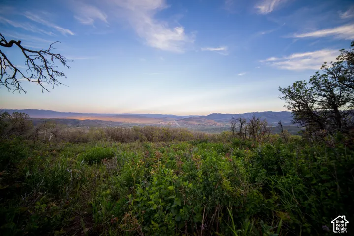 Expansive natural landscape featuring native shrubbery, mature trees, and an open horizon of rolling mountain ranges