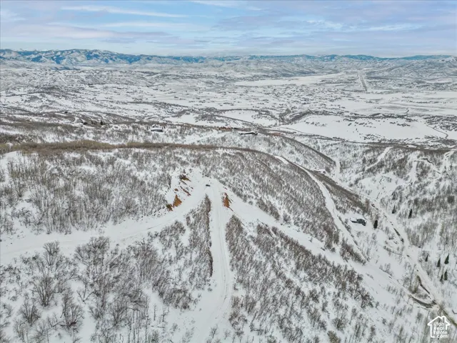 Elevated parcel featuring expansive mountain topography and native forest coverage