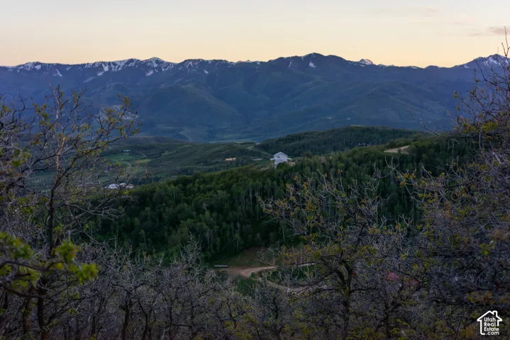 Expansive mountain scenery featuring snow-capped peaks, dense forest canopy, and rolling terrain