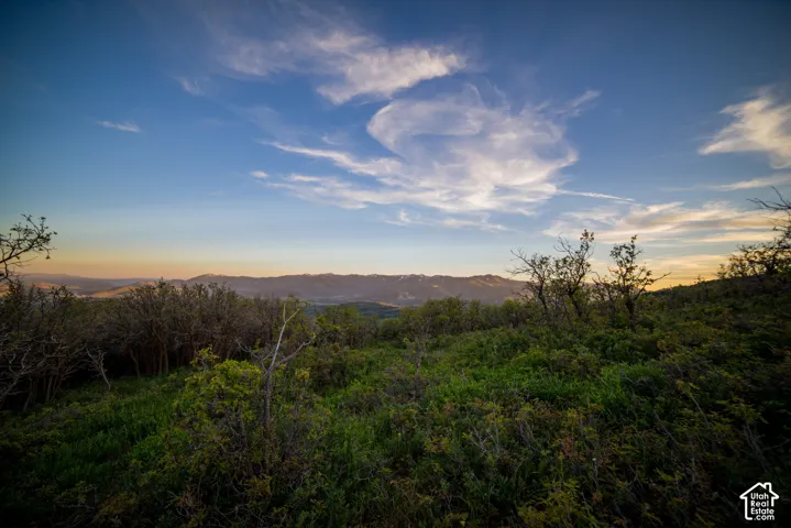 Expansive landscape featuring native vegetation, rolling terrain, and a prominent mountain range backdrop