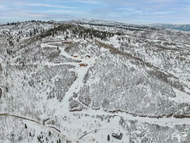 Elevated mountain terrain featuring expansive snow-covered slopes, dense evergreen forests, and prominent ridgeline topography