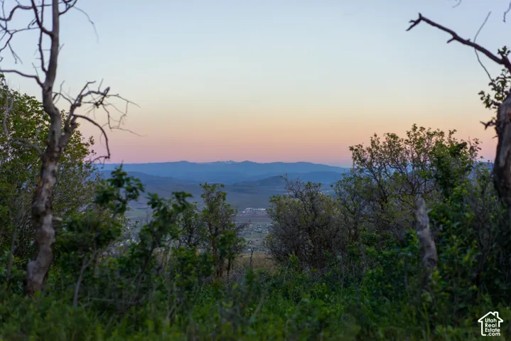 Expansive mountain range backdrop featuring natural vegetation and panoramic horizon