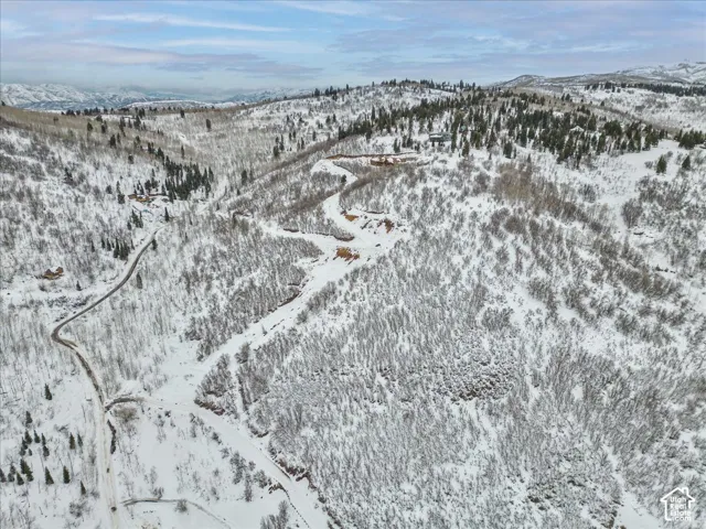 Expansive mountain landscape featuring rugged terrain, dense evergreen forests, deciduous woodland, and snow-covered slopes